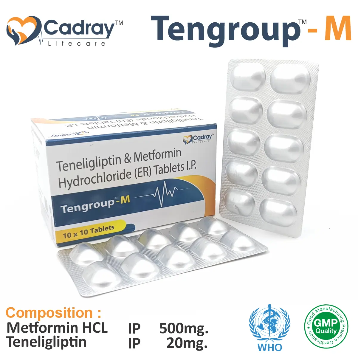 Metformin + Teneligliptin Tablet PCD Pharma Franchise